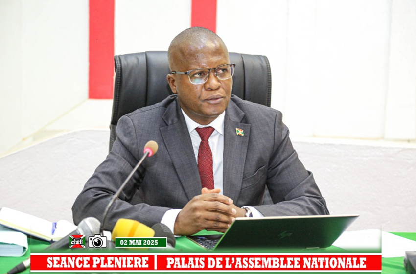 Budget 2025-2026 : la hausse des passeports et l’entretien de l’avion présidentiel au centre des préoccupations des députés 